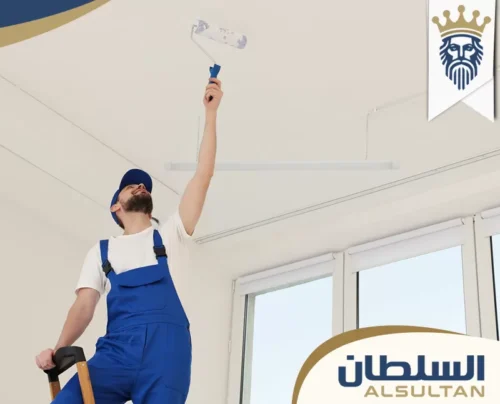 Painter-6 Painter-6