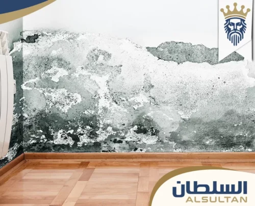 معالجة الرطوبة في الشارقة 0588725802 السلطان معالجة الرطوبة في الشارقة 0588725802 السلطان