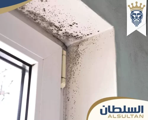 معالجة الرطوبة في الحمام في ام القيوين 0588725802 السلطان معالجة الرطوبة في الحمام في ام القيوين 0588725802 السلطان