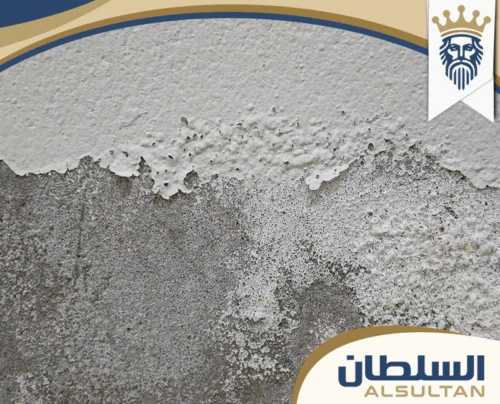 Moisture-treatment-in-Sharjah-e1760256863480